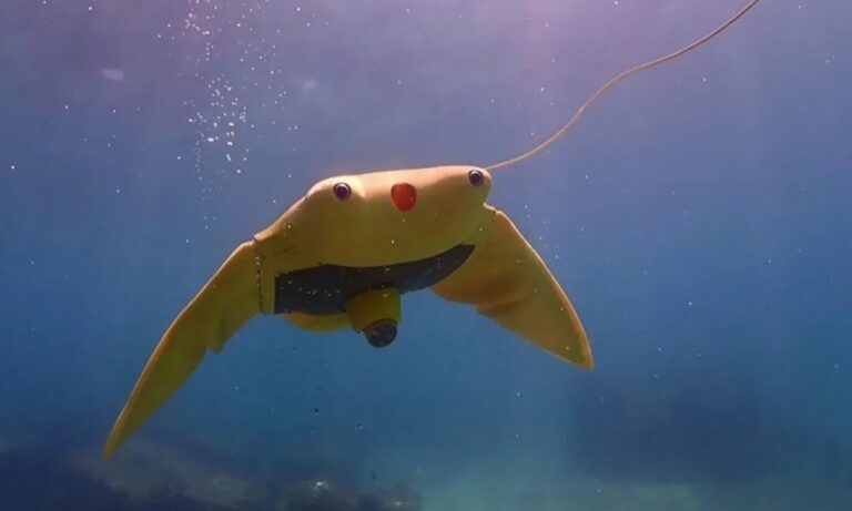 La Chine développe des submersibles biomimétiques sur le modèle des raies manta (rapport)