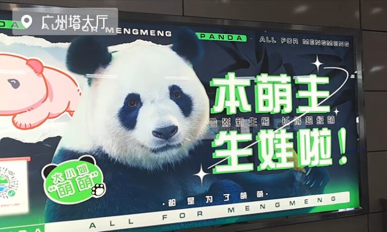 Le métro de Guangzhou affiche des affiches célébrant le nouveau-né du panda géant Mengmeng