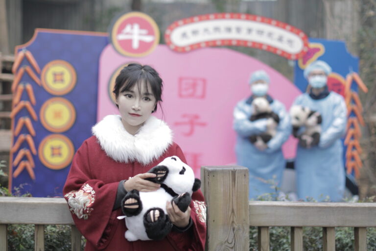 L'influenceur chinois Li Ziqi revient avec de nouvelles vidéos