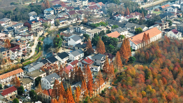 Le président Xi Jinping appelle à approfondir la réforme rurale et à renforcer l'agriculture
