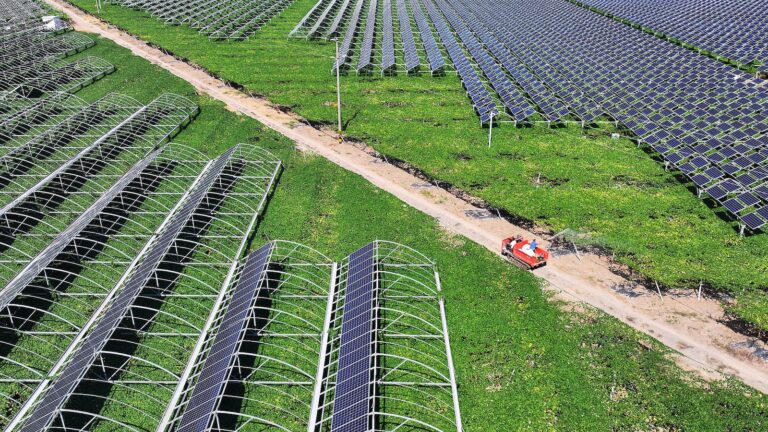 La Chine pour accélérer la transition verte dans tous les secteurs socioéconomiques