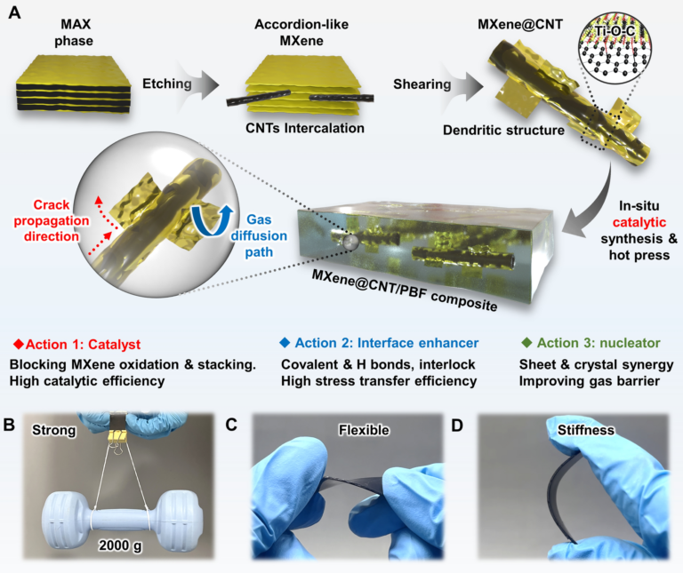 Les scientifiques chinois présentent de nouveaux nanocomposites bio