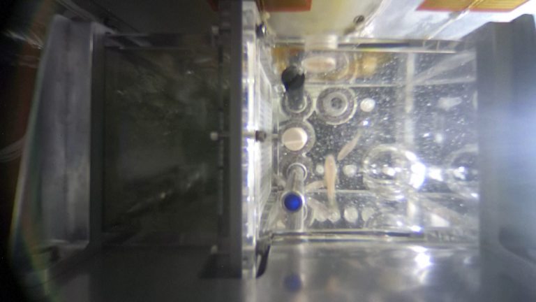 L'équipage chinois de Shenzhou-20 pour mener trois nouvelles expériences de science de la vie dans la station spatiale