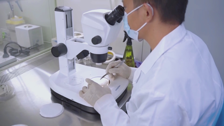 La reproduction du sud à Hainan injecte un nouvel élan pour les «chips» de la Chine pour l'agriculture