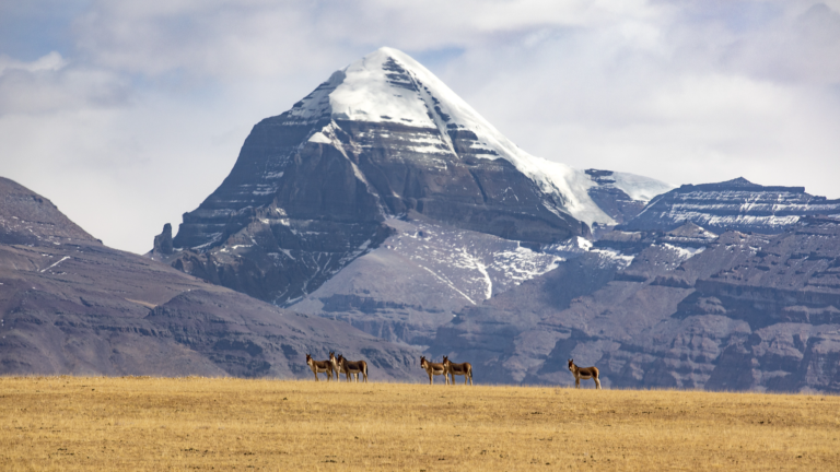 Porte-parole: Chine, Inde pour reprendre le pèlerinage pour les pèlerins indiens à la montagne et au lac sacrés de Xizang