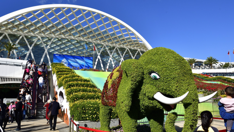 Comment la Chine contribue à la construction d'un monde propre et magnifique