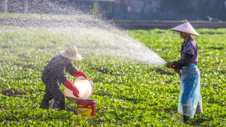 La Chine marque le début de l'été avec les traditions saisonnières