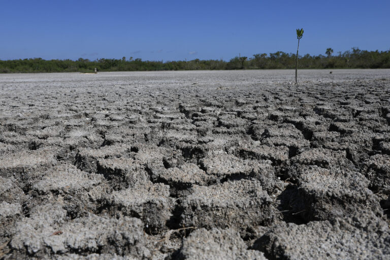 Expert: la nouvelle ère de la sécheresse signale le risque systémique mondial