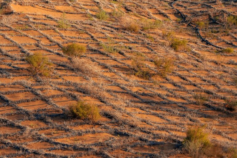 La Chine complète la ceinture de barrière pour contenir son quatrième désert