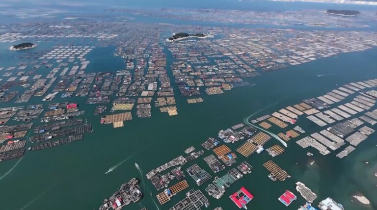 La Chine lance une réponse d'urgence au typhon Danas