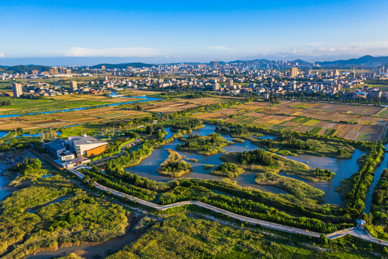 La surveillance des zones humides aide à transformer une escale migratoire