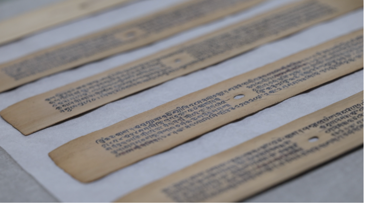 Manuscrits à feuilles de palmier au palais de Potala. / China Media Group