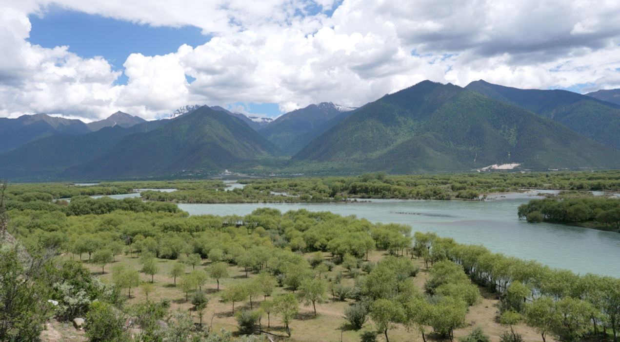 Yani National Wetland Park. / Cgtn