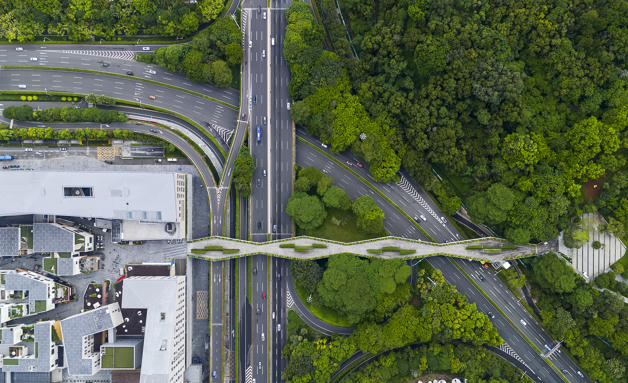 Un couloir écologique dans le parc Lianhuashan, Shenzhen, province du Guangdong, sud de la Chine, 29 août 2024. / VCG