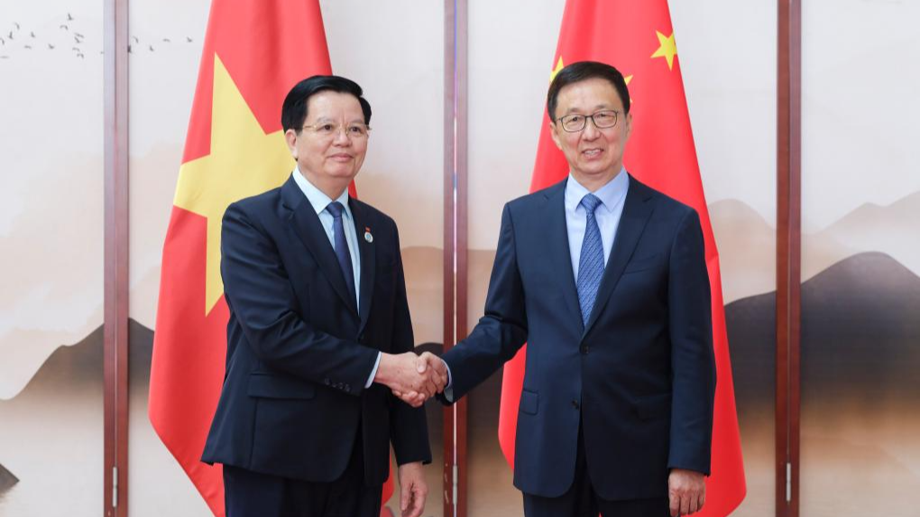 Le vice-président chinois Han Zheng rencontre le vice-Premier ministre du Vietnam Mai Van Chinh, Nanning City, la région autonome de Guangxi Zhuang du sud de la Chine, 16 septembre 2025. / Xinhua