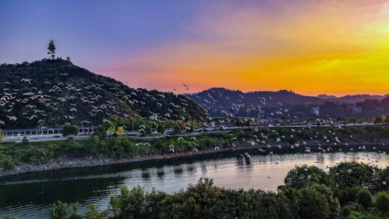 Hangzhou de la Chine orientale pour accueillir le 5e Congrès mondial des réserves de biosphère
