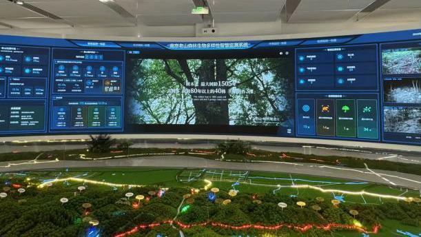 Le système de surveillance intelligent du parc forestier national de Laoshan à Nanjing, dans la province du Jiangsu (est de la Chine). /CMG