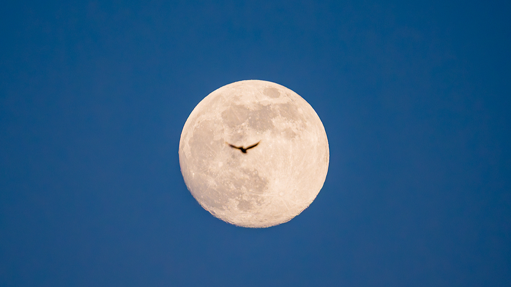 Une pleine lune se lève dans le ciel à Pékin, en Chine, le 2 janvier 2026. /VCG