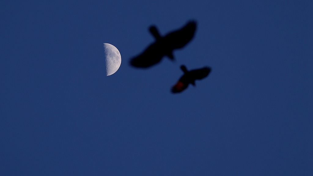 La lune au-dessus de la ville de Harbin, dans la province du Heilongjiang (nord-est de la Chine), le 24 février 2026. /VCG