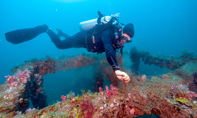 Le Nouvel An en première ligne : des jeunes plantent du corail sur les fonds marins