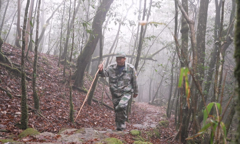 Nouvel An en première ligne : trois sapins témoignent de 56 ans de dévouement