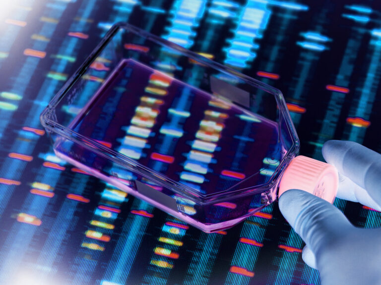 Une nouvelle technologie d’édition génétique rétablit le comportement normal chez des souris autistes