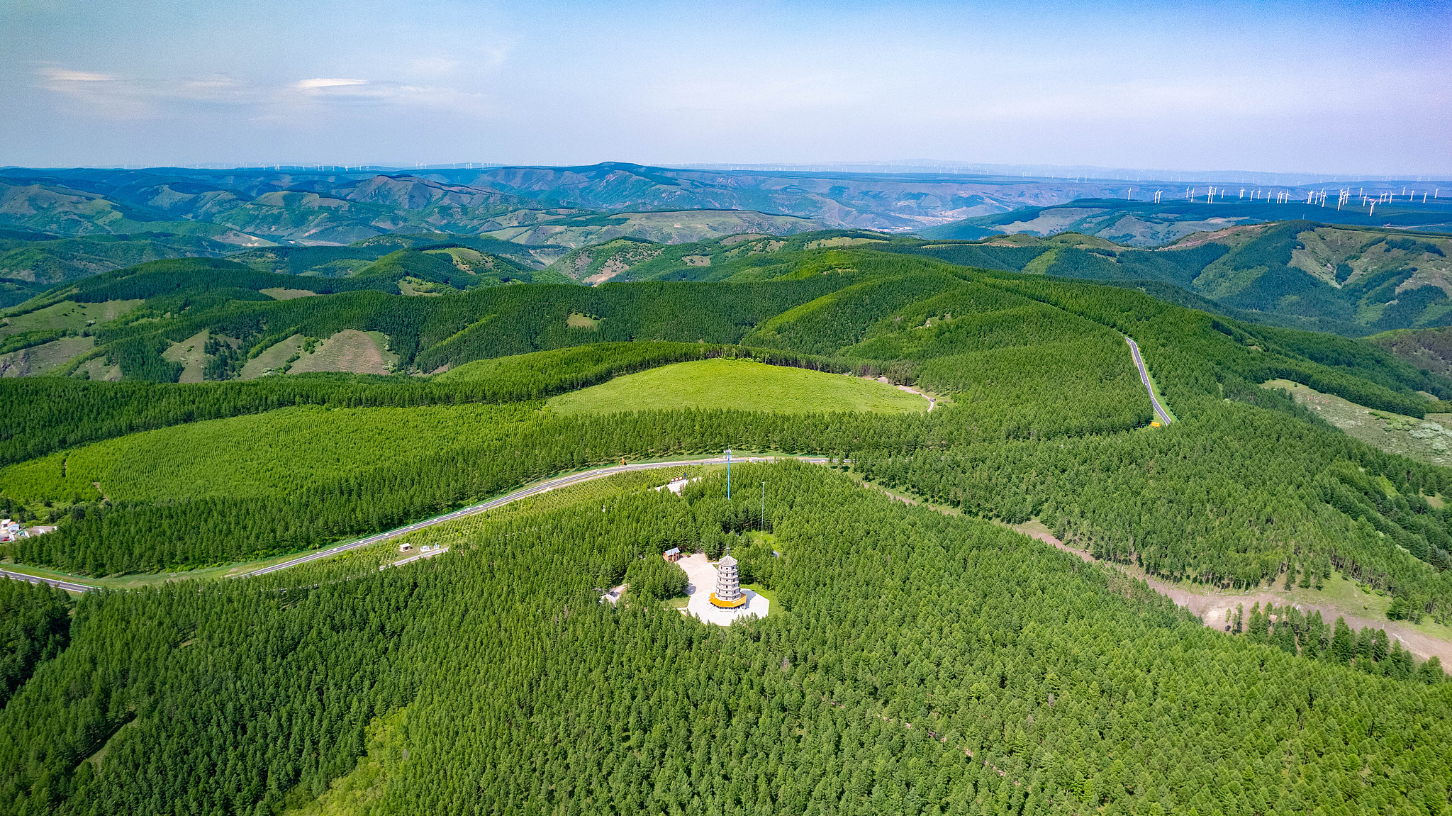 Une vue aérienne de la ferme forestière mécanisée Saihanba à Chengde, dans la province du Hebei (nord de la Chine), le 11 juin 2025. /VCG
