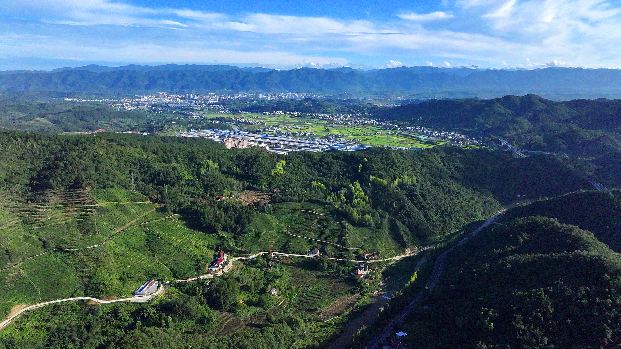 Les industries sous-forestières sont devenues opérationnelles à grande échelle dans le comté de Fang, dans la province du Hubei (centre de la Chine), le 31 août 2025. /VCG