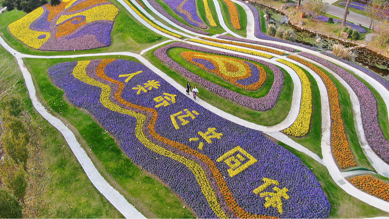 Une photo d'archive montrant des champs de fleurs en terrasses disposés pour former les caractères chinois pour