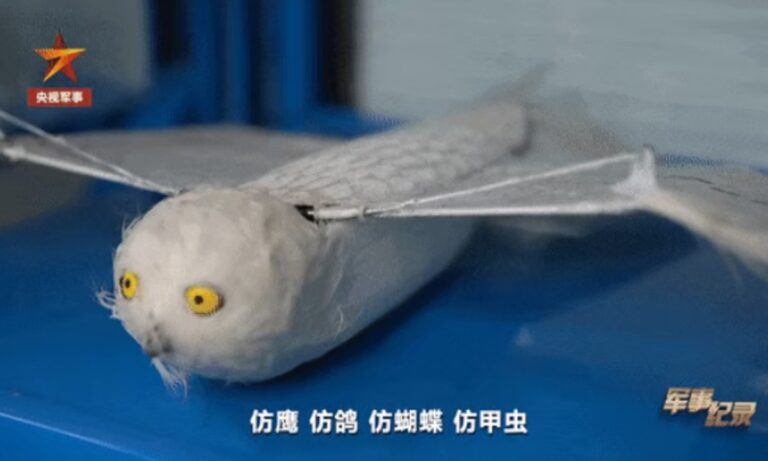 Des chercheurs chinois développent des drones aux ailes battantes imitant des aigles, des pigeons, des papillons et des coléoptères