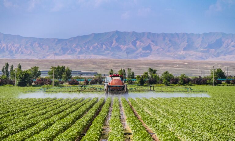 « Nous nous y opposons fermement et nous lutterons résolument contre cela » : le député du 14e APN du Xinjiang réagit à certaines sanctions en invoquant le soi-disant « travail forcé »