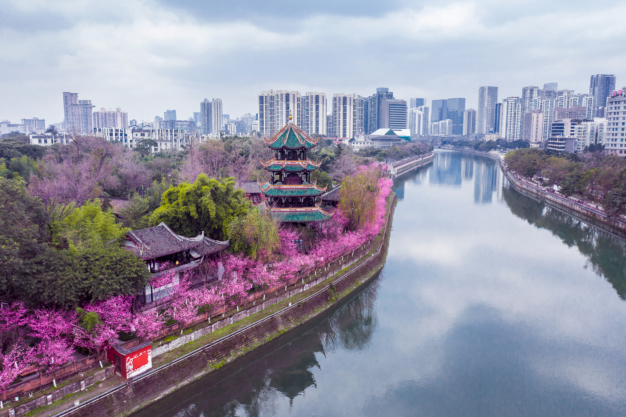 Le printemps fleurit au parc Wangjiang. /VCG
