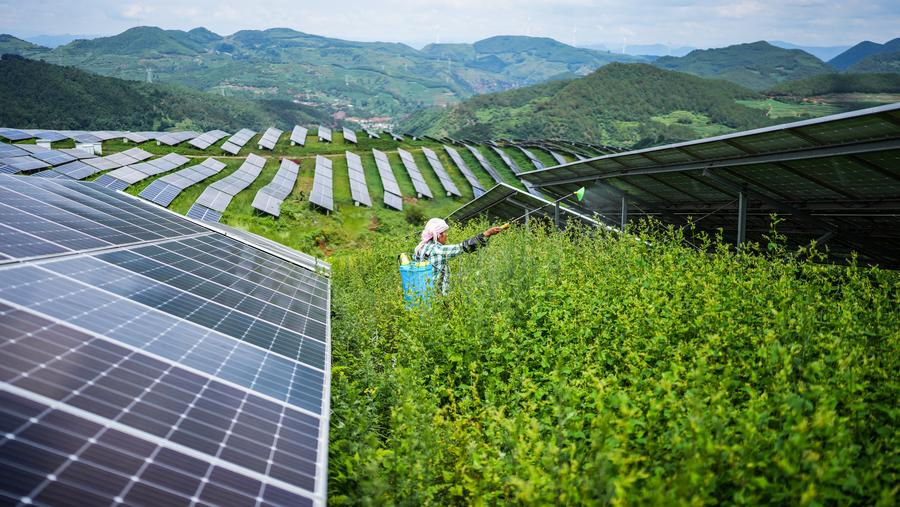 Un agriculteur travaille au milieu de panneaux photovoltaïques dans une centrale solaire du comté autonome Yi-Hui-Miao de Weining, dans la province chinoise du Guizhou (sud-ouest), le 3 juillet 2025. /Xinhua