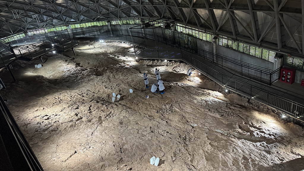 Des chercheurs travaillent sur le site du projet de conservation des grappes de fossiles d'œufs de dinosaures, à Shiyan, dans la province du Hubei (centre de la Chine), le 21 avril 2026. /VCG
