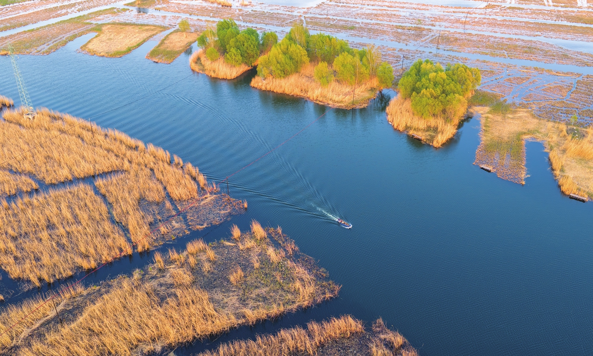 A view of Baiyangdian Lake on April 4, 2026. Photo: VCG