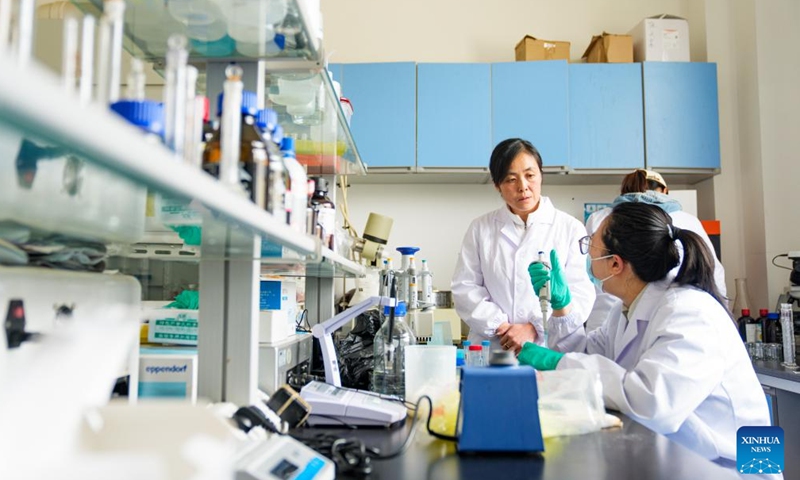 Zhang Yuhong (L) talks with her student at an institute of agricultural product development and food science in Lhasa, southwest China