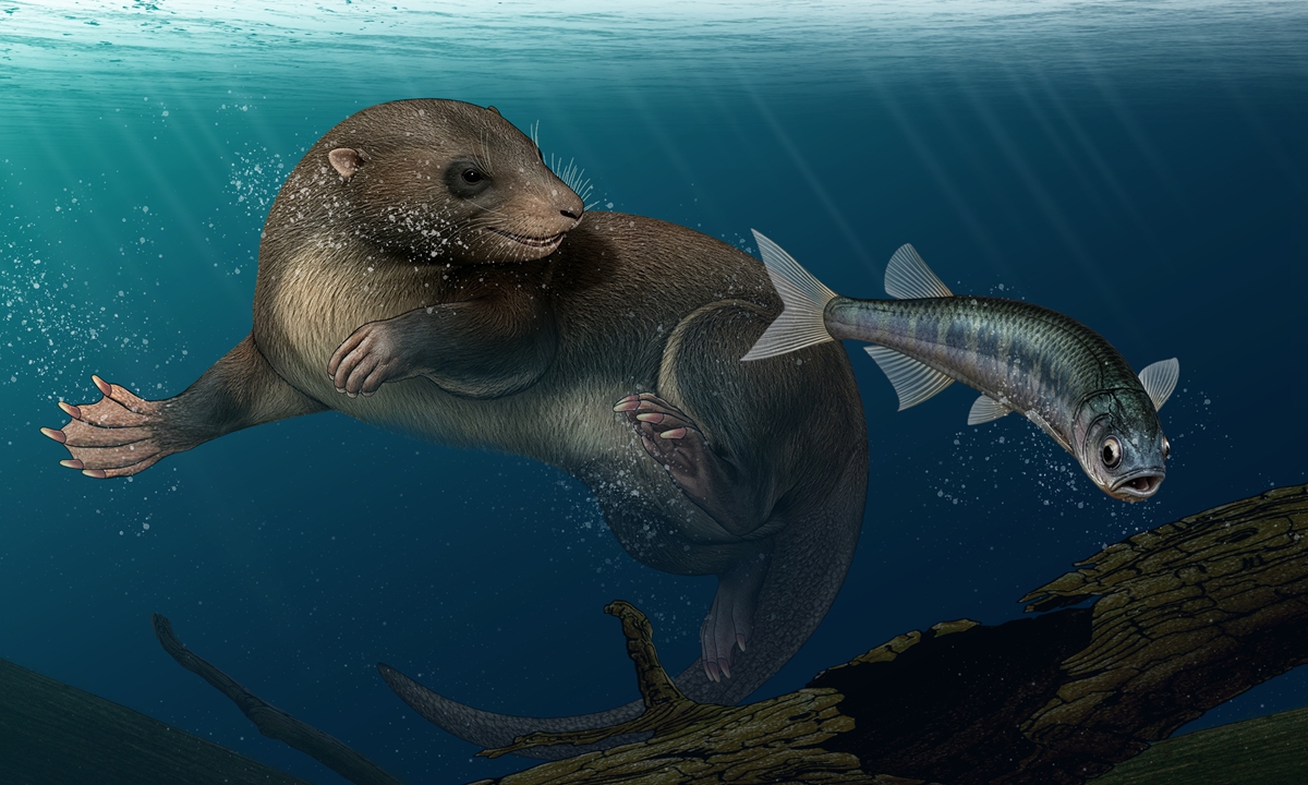 A reconstruction
