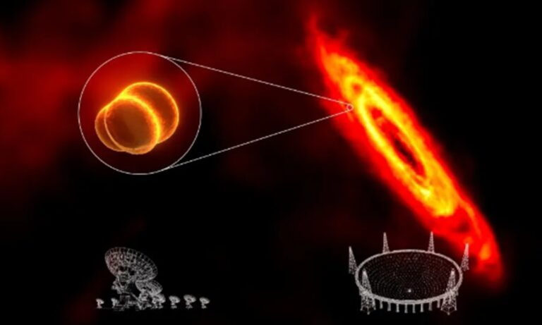 Les dernières observations sino-américaines révèlent l'origine d'une supernova des turbulences galactiques à Andromède (expert)