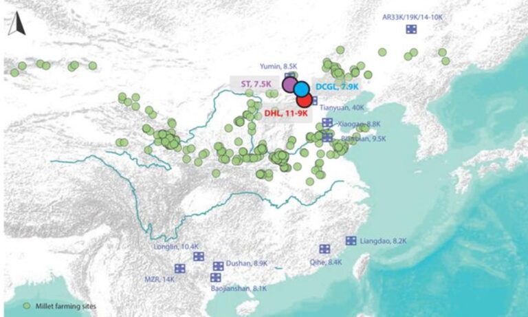 Des scientifiques chinois retracent les origines locales des premiers producteurs de mil du nord de la Chine