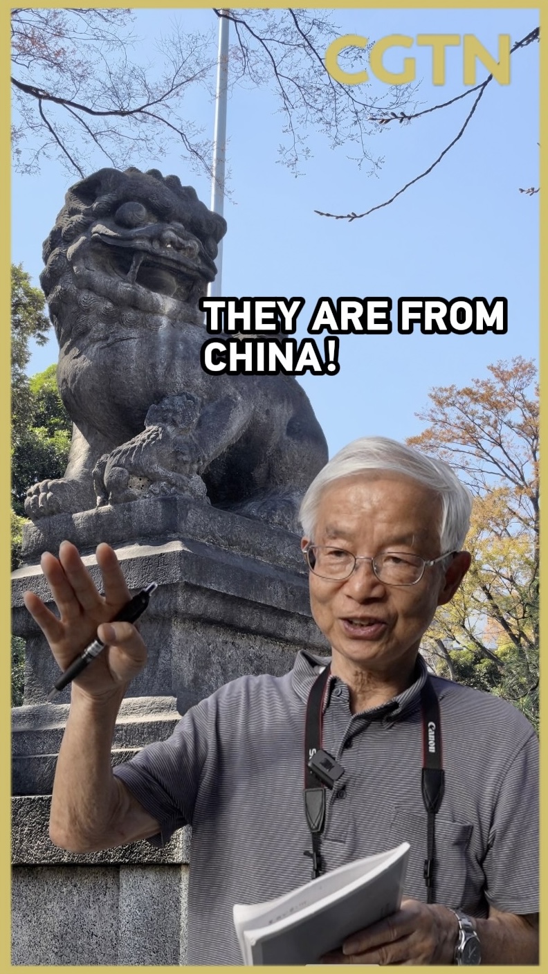 Pourquoi les lions de pierre chinois sont-ils toujours au sanctuaire Yasukuni ?